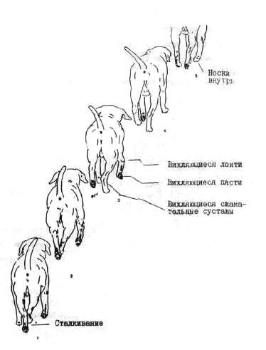 Носки внутрь